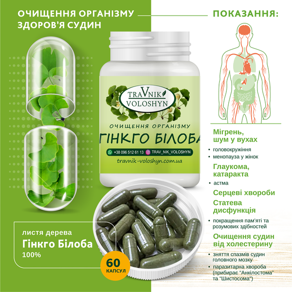 ГІНКГО БІЛОБА 97 фото