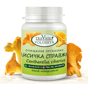ЛИСИЧКА СПРАВЖНЯ 562 фото