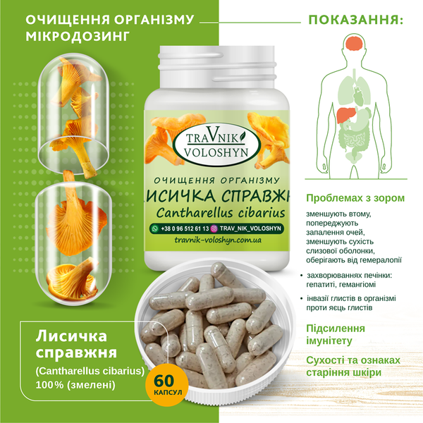ЛИСИЧКА СПРАВЖНЯ 562 фото