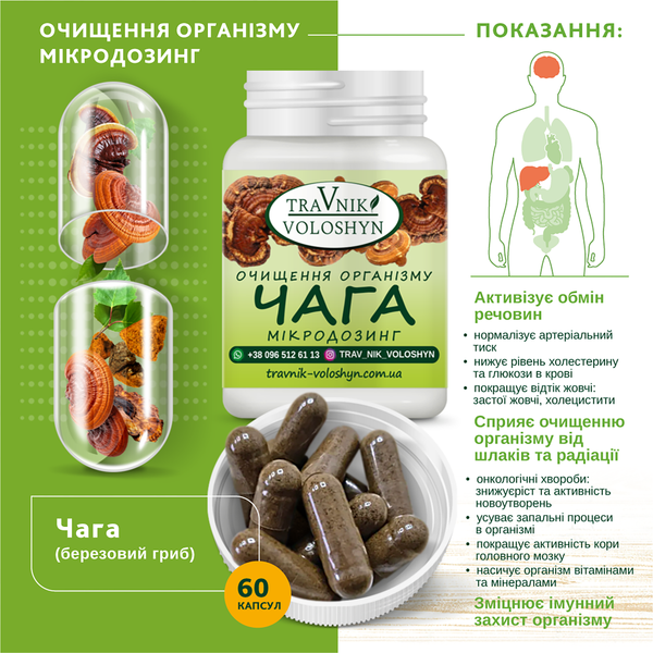 ЧАГА БЕРЕЗОВА 623 фото